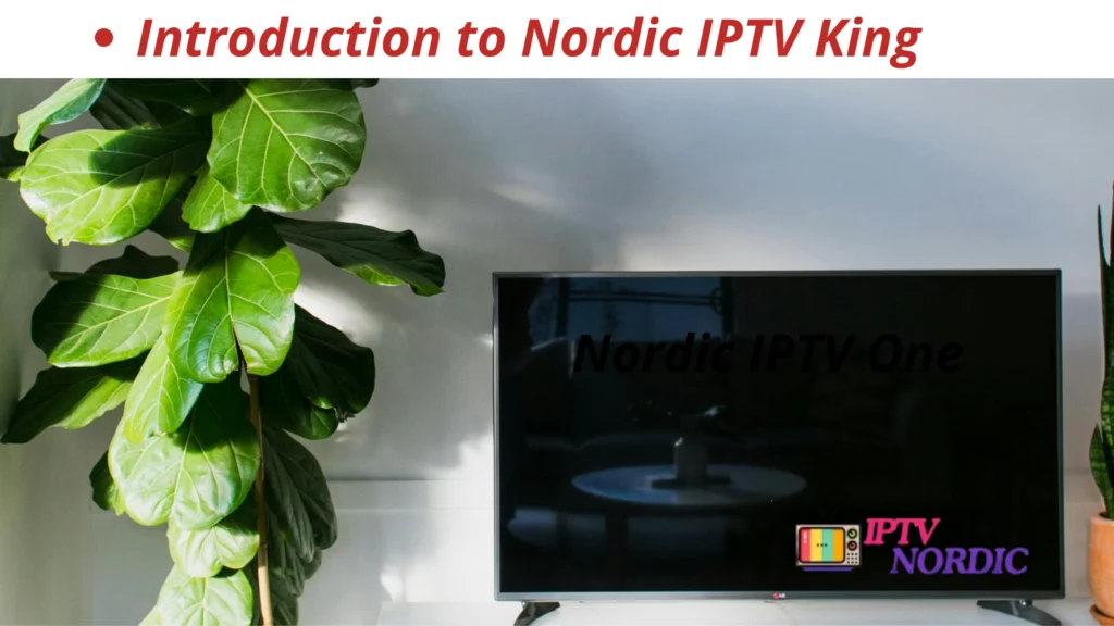 Introduktion till Nordic IPTV One