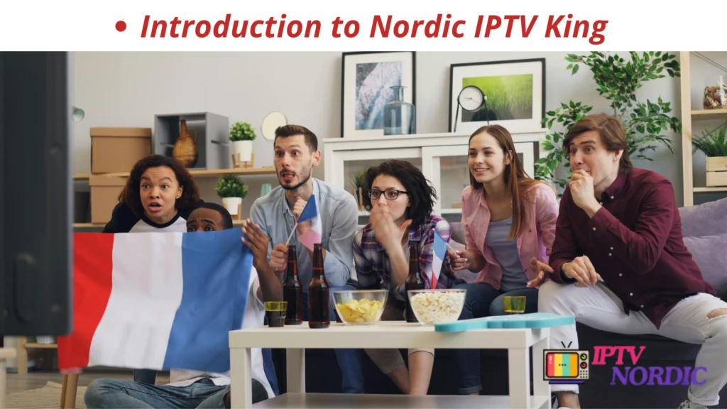 Introduction to Nordic IPTV King